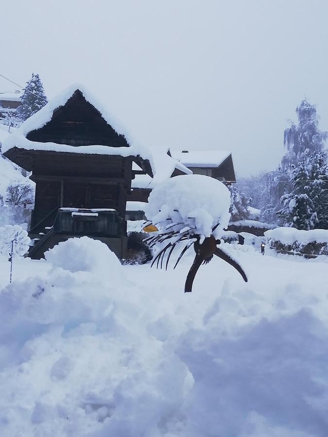 Vila Simonbauerhof Bad Kleinkirchheim Exteriér fotografie