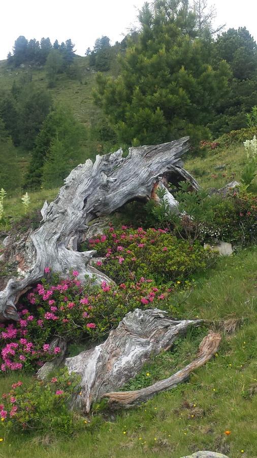 Vila Simonbauerhof Bad Kleinkirchheim Exteriér fotografie