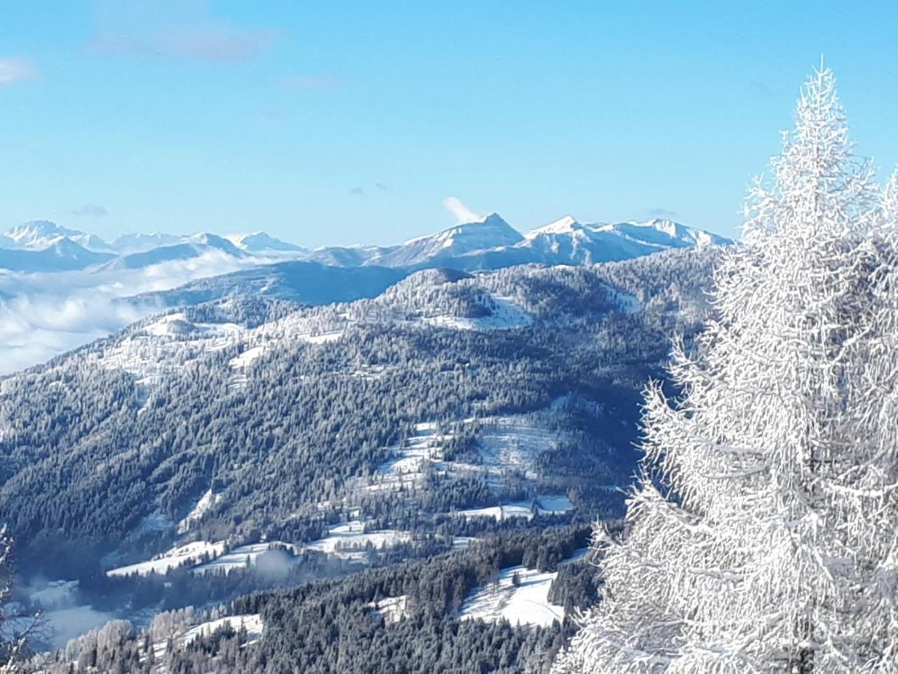 Vila Simonbauerhof Bad Kleinkirchheim Exteriér fotografie