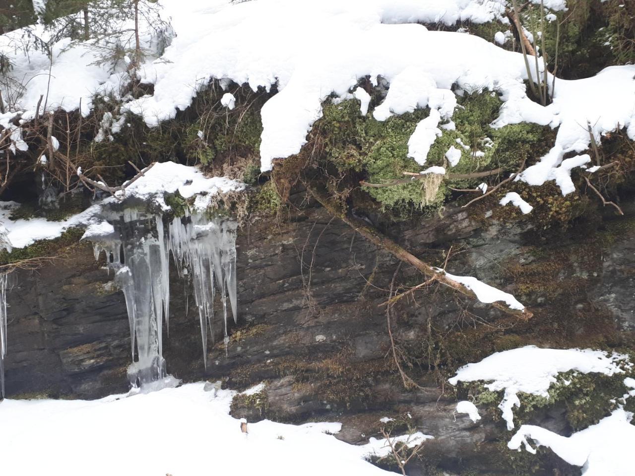 Vila Simonbauerhof Bad Kleinkirchheim Exteriér fotografie